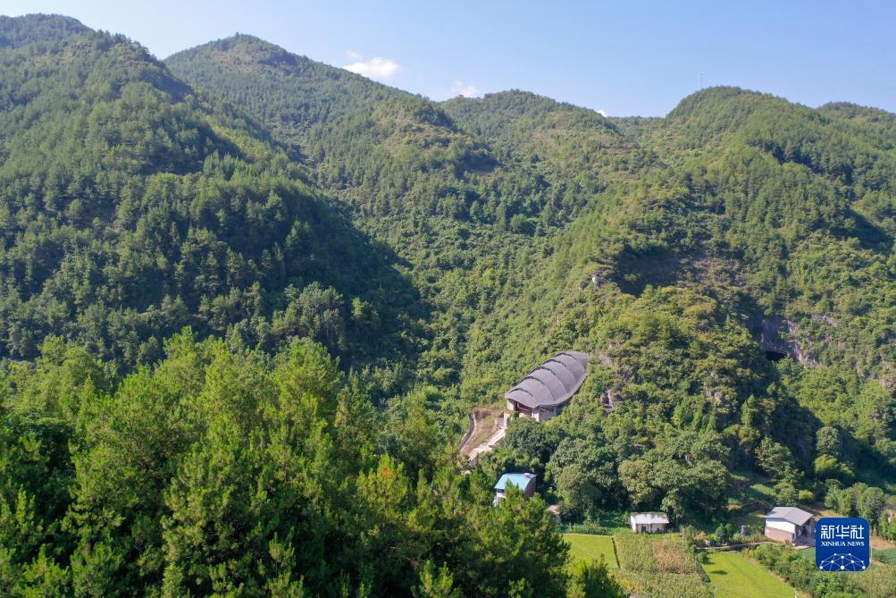 球盘网开户注册